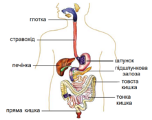 0401n32d-c8c8-221x175.png