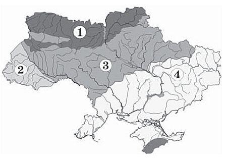 0401n43n-c816-450x313.jpg
