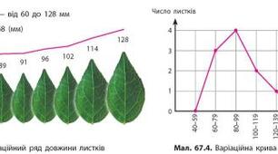 (Копія)  Мінливість.