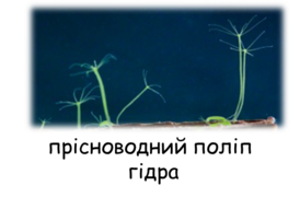 0401n6te-b9fd-274x180.png