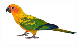 0401n6up-dd6b-274x166.png