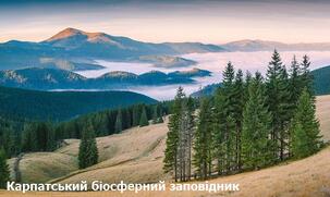 0401n7d1-7f76-303x181.jpg