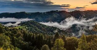 0401n7ee-4353-314x162.jpg
