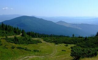 0401n8dt-8b7d-320x197.jpg