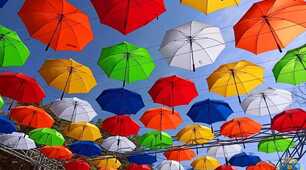 Допитливим Про Цікаве  #ДеньПарасольки☔☔☔