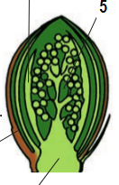0401n92u-49b9-132x205.png
