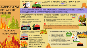 Алгоритм дій при лісовій пожежі.