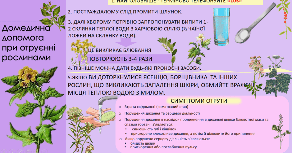 0401n9gs-c66a-940x494.png