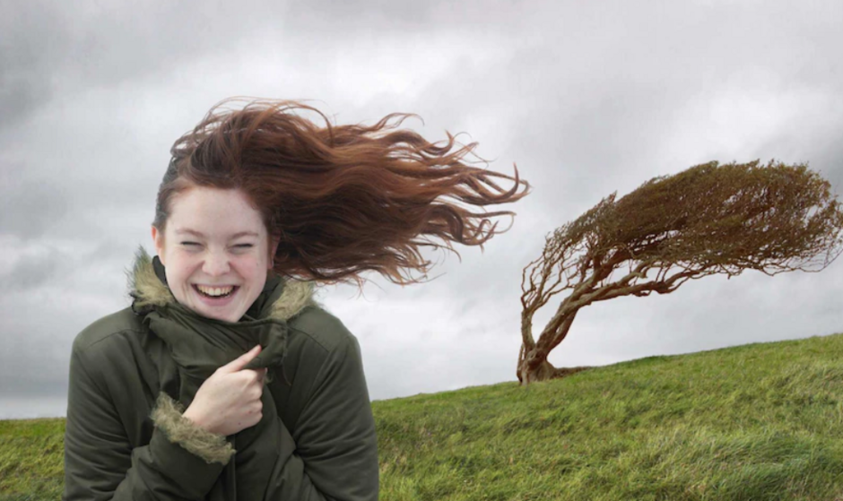 0401n9k8-7123-940x559.png