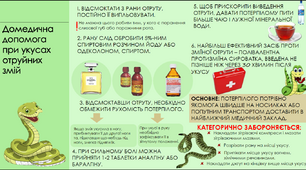 Домедична допомога при укусах отруйних змій
