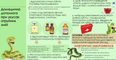Що забороняється робити при укусах змій