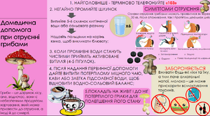 Домедична допомога при отруєнні грибами