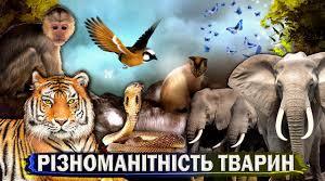 Живі організми. Тварини.