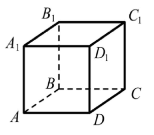 0401nfth-269e-307x269.png