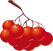 0401ngfe-9b78-184x174.png