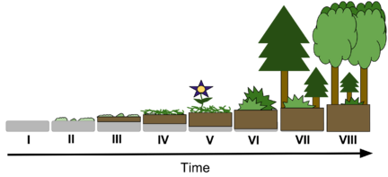 0401ngqr-28f6-432x197.png