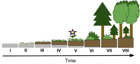 0401ngts-4de8-458x209.png