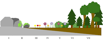 0401nhbc-d5be-357x141.png