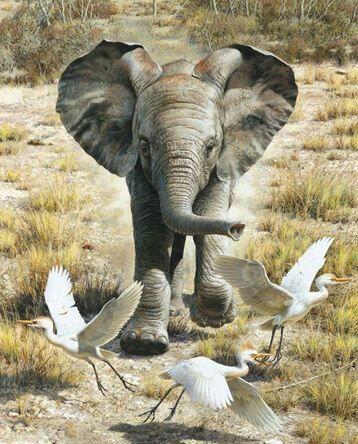 Animalistika-Carl-Brenders.-Slonenok.-Akvarel | Elephant, Animals, Rocky mountains art