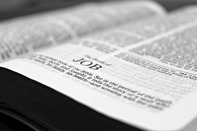 0401niqs-e791-197x131.jpg