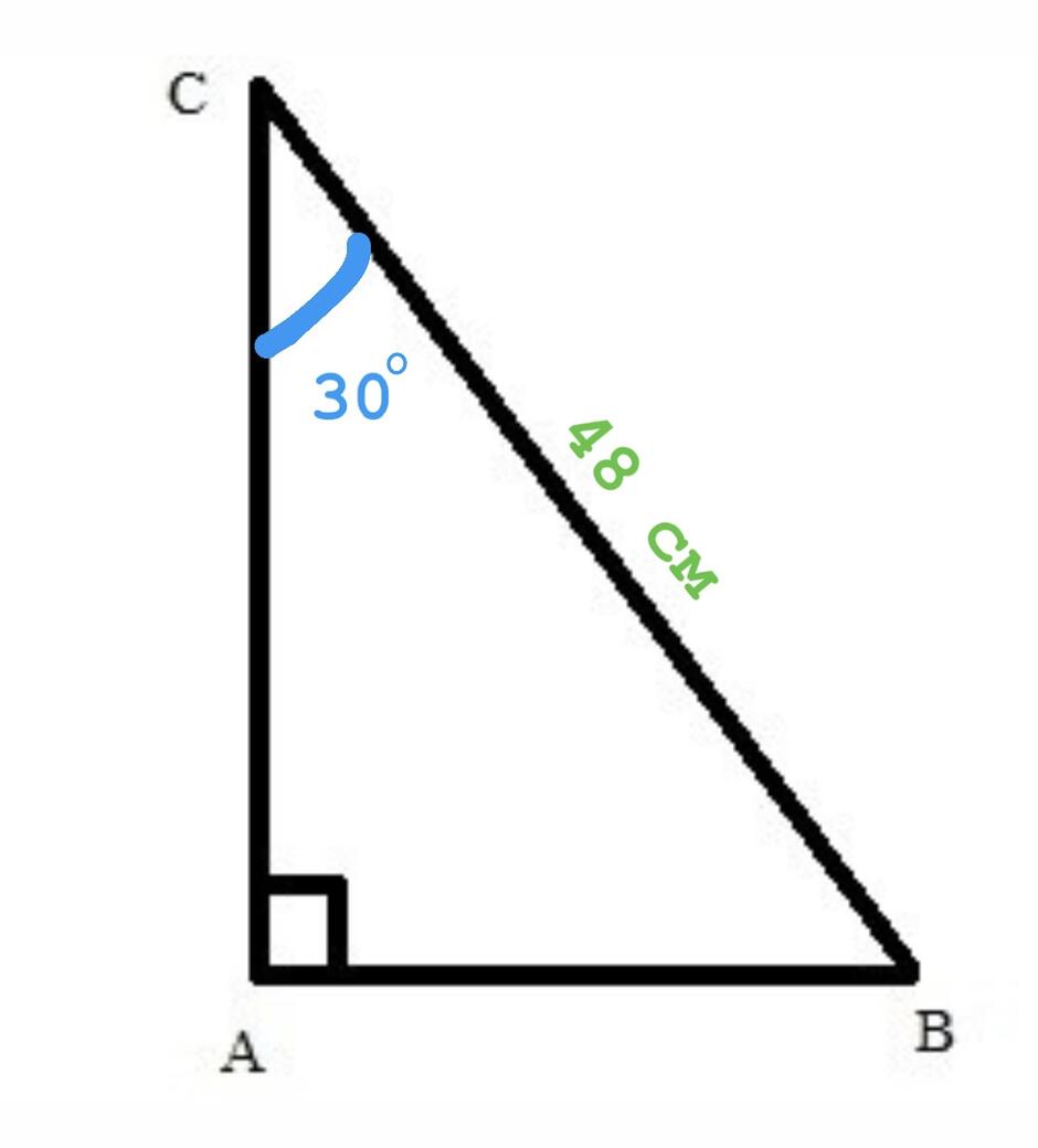 0401njfn-c272-940x1040.jpg