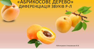 Гра "Абрикосове дерево" (диференціація Р-Л)