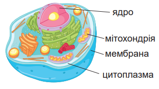0401nkt3-7a19-327x182.png