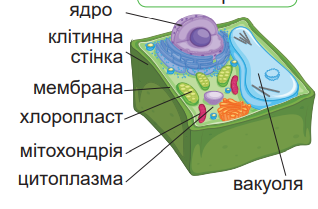 0401nkt4-d112-318x209.png