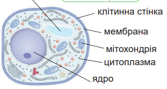 0401nkt6-b8a6-341x183.png