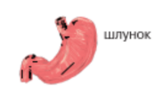 0401nmto-dc8e-183x106.png