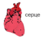 0401nmtr-969b-141x130.png