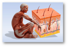 0401nmuz-f711-223x156.png