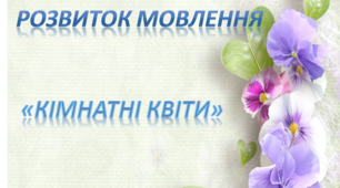 Розвиток мовлення. Середня група "Кімнатні квіти"