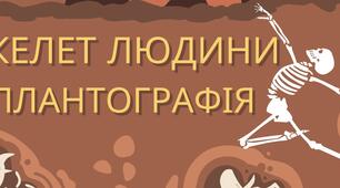 Скелет людини. Плантографія (Практична робота)