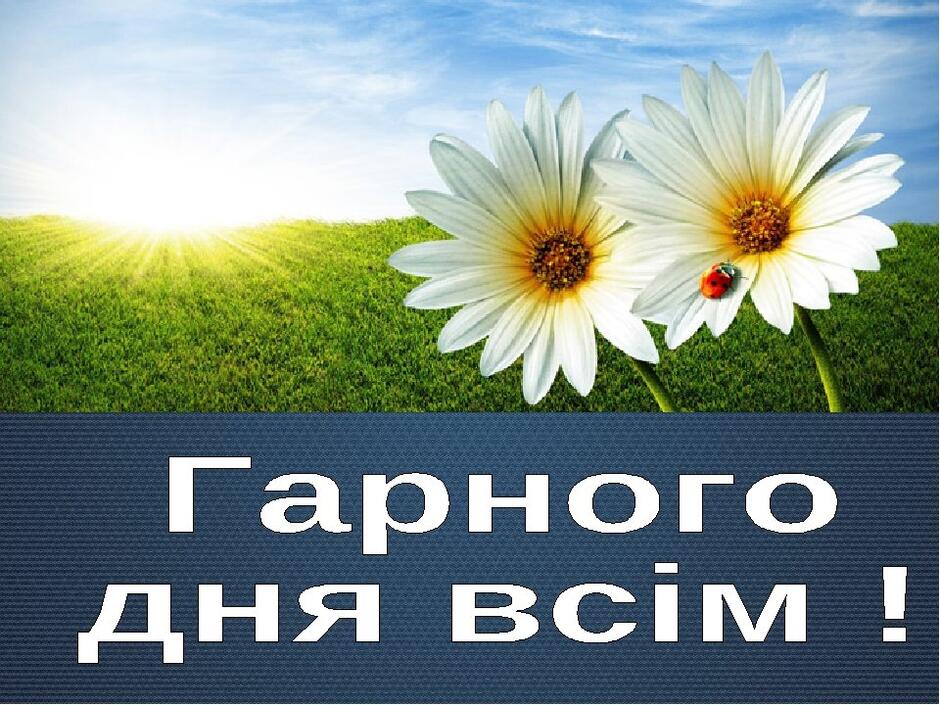 Картинки доброго ранку прикольні українською (65 фото) » Юмор, позитив и много смешных картинок