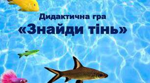 Дидактична гра  "Знайди тінь"