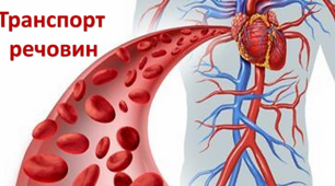 (Копія) Узагальнення по темі: « Транспорт речовин».