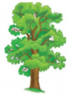 0401nuhx-59d4-100x136.png
