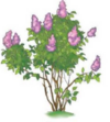 0401nuj9-bb21-100x111.png