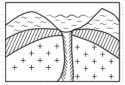 0401nuwl-4119-252x172.png