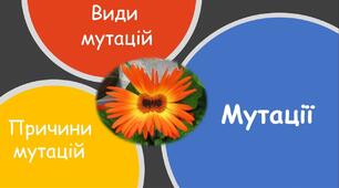 9 клас. Мутації. Види мутацій. Спадкові захворювання людини.. 