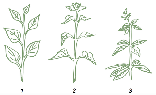0401nwrf-d45c-505x308.png