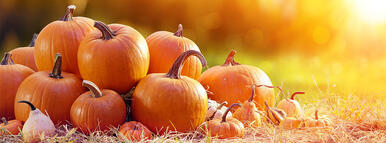 0401nwwf-36fe-386x143.jpg