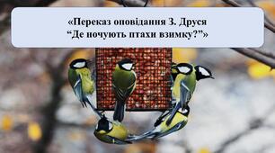 Презентація на тему: «Де ночують птахи взимку?» (переказ оповідання З.Друся)