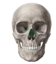 0401nxje-cef4-187x213.png