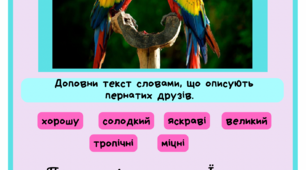 Картки до вивчення тем «Прикметник», «Текст-опис» 2 клас