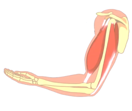 0401nxu7-da52-271x229.png