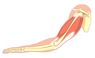 0401nxua-617d-323x199.png