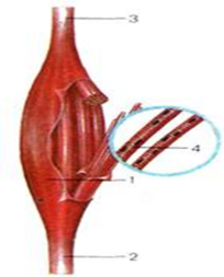 0401nxuj-0f12-204x253.png