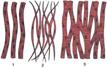 0401nxv8-7a49-352x225.png